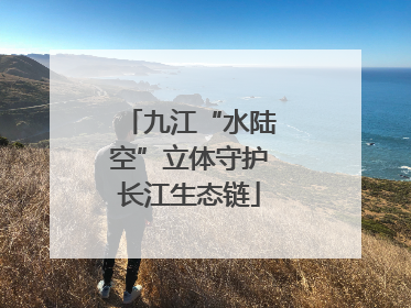 九江“水陆空”立体守护长江生态链