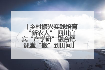 乡村振兴实践培育“新农人” 四川宜宾“产学研”融合把课堂“搬”到田间