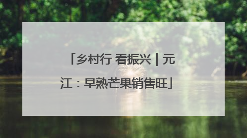乡村行 看振兴｜元江：早熟芒果销售旺