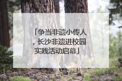 争当非遗小传人，长沙非遗进校园实践活动启幕