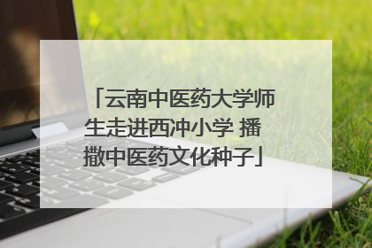 云南中医药大学师生走进西冲小学 播撒中医药文化种子
