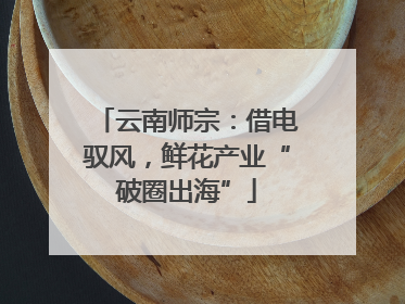 云南师宗：借电驭风，鲜花产业“破圈出海”
