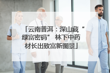云南普洱：深山藏“绿富密码” 林下中药材长出致富新图景