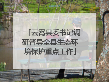云霄县委书记调研督导全县生态环境保护重点工作
