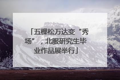 五棵松万达变“秀场”，北服研究生毕业作品展举行