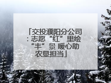 交投濮阳分公司：志愿“红”里绘“丰”景 暖心助农显担当