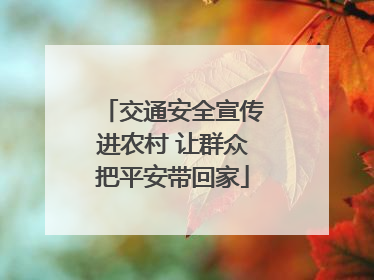 交通安全宣传进农村 让群众把平安带回家