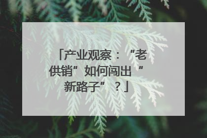 产业观察：“老供销”如何闯出“新路子”？