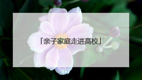 亲子家庭走进高校