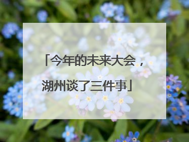 今年的未来大会，湖州谈了三件事