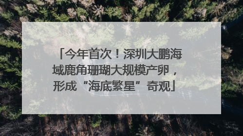 今年首次！深圳大鹏海域鹿角珊瑚大规模产卵，形成“海底繁星”奇观