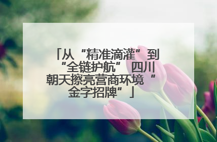 从“精准滴灌”到“全链护航” 四川朝天擦亮营商环境“金字招牌”
