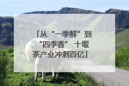 从“一季鲜”到“四季香” 十堰茶产业冲刺百亿