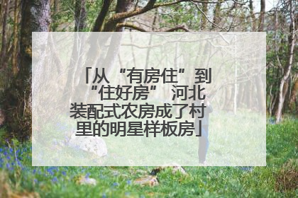 从“有房住”到“住好房” 河北装配式农房成了村里的明星样板房