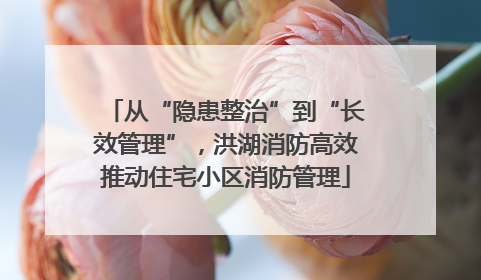 从“隐患整治”到“长效管理”，洪湖消防高效推动住宅小区消防管理