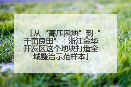 从“高压困地”到“千亩良田”：浙江金华开发区这个地块打造全域整治示范样本