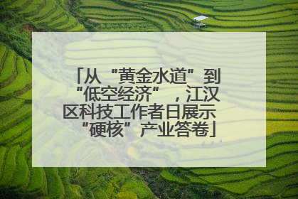 从“黄金水道”到“低空经济”，江汉区科技工作者日展示“硬核”产业答卷