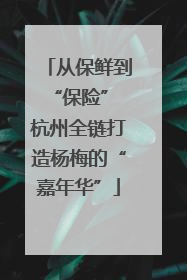 从保鲜到“保险” 杭州全链打造杨梅的“嘉年华”