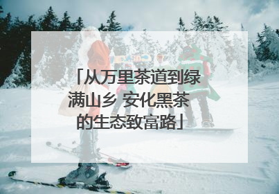 从万里茶道到绿满山乡 安化黑茶的生态致富路