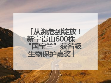 从濒危到绽放！新宁崀山600株“国宝兰”获省级生物保护嘉奖