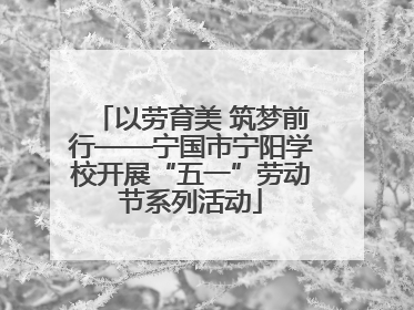 以劳育美 筑梦前行——宁国市宁阳学校开展“五一”劳动节系列活动