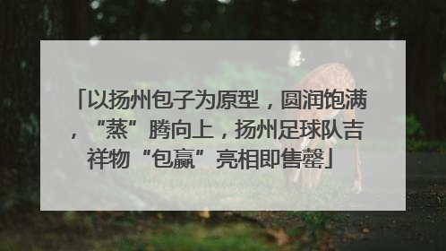 以扬州包子为原型，圆润饱满，“蒸”腾向上，扬州足球队吉祥物“包赢”亮相即售罄