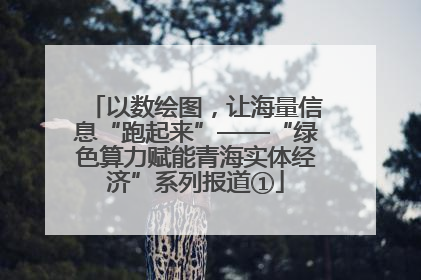 以数绘图，让海量信息“跑起来”——“绿色算力赋能青海实体经济”系列报道①
