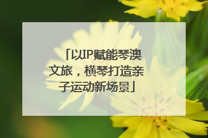 以IP赋能琴澳文旅，横琴打造亲子运动新场景
