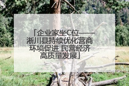 企业家坐C位——淅川县持续优化营商环境促进 民营经济高质量发展