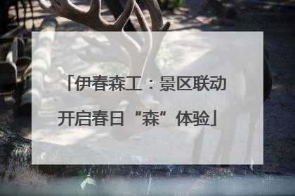 伊春森工：景区联动开启春日“森”体验