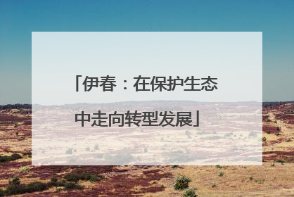 伊春：在保护生态中走向转型发展
