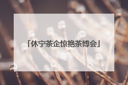 休宁茶企惊艳茶博会