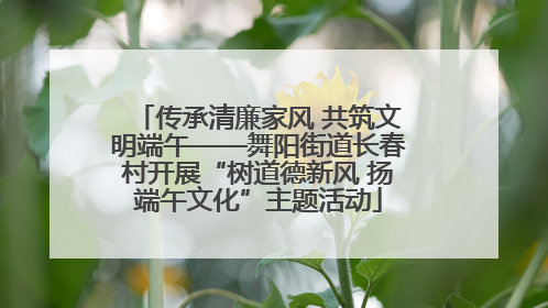 传承清廉家风 共筑文明端午——舞阳街道长春村开展“树道德新风 扬端午文化”主题活动
