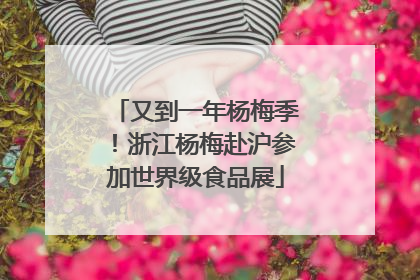 又到一年杨梅季！浙江杨梅赴沪参加世界级食品展