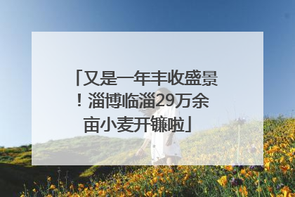 又是一年丰收盛景！淄博临淄29万余亩小麦开镰啦