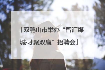 双鸭山市举办“智汇煤城·才聚双赢”招聘会