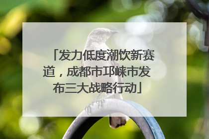 发力低度潮饮新赛道，成都市邛崃市发布三大战略行动