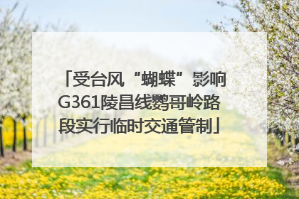 受台风“蝴蝶”影响 G361陵昌线鹦哥岭路段实行临时交通管制