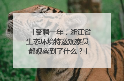 受聘一年，浙江省生态环境特邀观察员都观察到了什么？