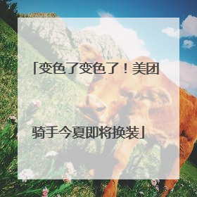 变色了变色了！美团骑手今夏即将换装
