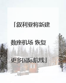 叙利亚将新建数座机场 恢复更多国际航线