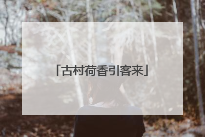 古村荷香引客来