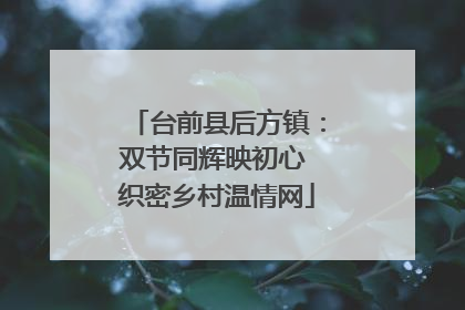 台前县后方镇：双节同辉映初心 织密乡村温情网
