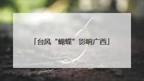 台风“蝴蝶”影响广西