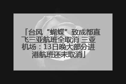 台风“蝴蝶”致成都直飞三亚航班全取消 三亚机场：13日晚大部分进港航班还未取消