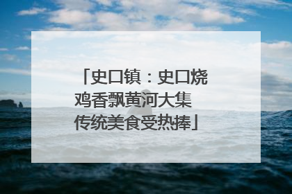 史口镇：史口烧鸡香飘黄河大集 传统美食受热捧