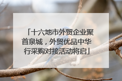 十六地市外贸企业聚首泉城，外贸优品中华行采购对接活动将启