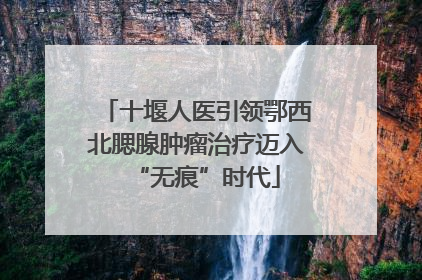 十堰人医引领鄂西北腮腺肿瘤治疗迈入“无痕”时代