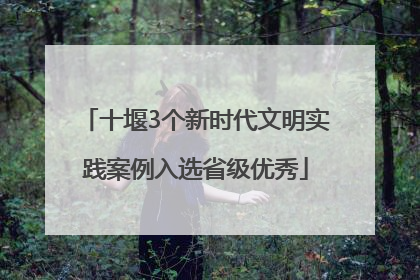 十堰3个新时代文明实践案例入选省级优秀