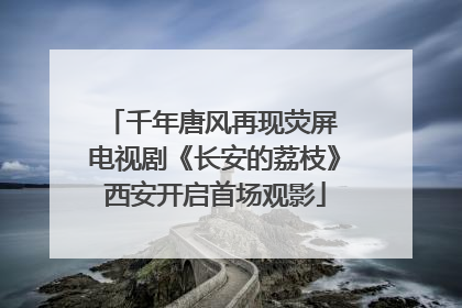 千年唐风再现荧屏 电视剧《长安的荔枝》西安开启首场观影